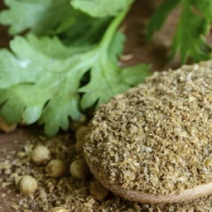 پودر تخم گشنیز