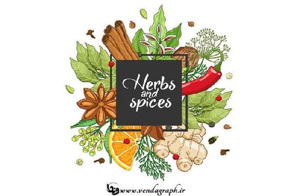 ادویه و چاشنی
